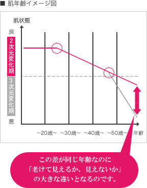 ■ 肌年齢イメージ図