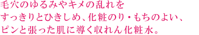 毛穴のゆるみやキメの乱れをすっきりとひきしめ、化粧のり・もちのよい、ピンと張った肌に導く収れん化粧水。