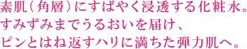 素肌（角層）にすばやく浸透する化粧水。 すみずみまでうるおいを届け、 ピンとはね返すハリに満ちた弾力肌へ。