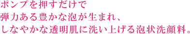 ポンプを押すだけで弾力ある豊かな泡が生まれ、しなやかな透明肌に洗い上げる泡状洗顔料。